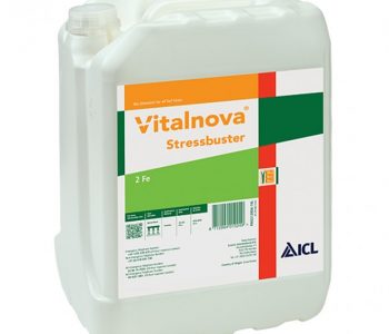 VITALNOVA STRESSBUSTER