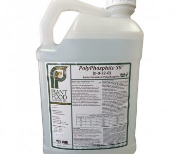 POLYPHOSPHITE 30