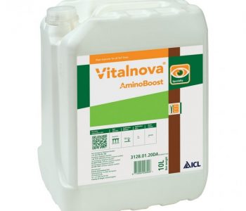 VITALNOVA AMINOBOOST